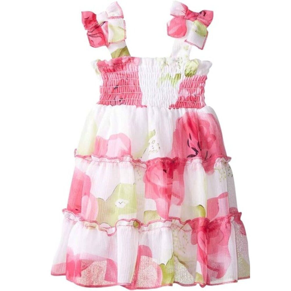 Blueberi Boulevard Floral Print Chiffon Dress Size 4T